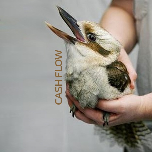 Cashflow bird in the hand