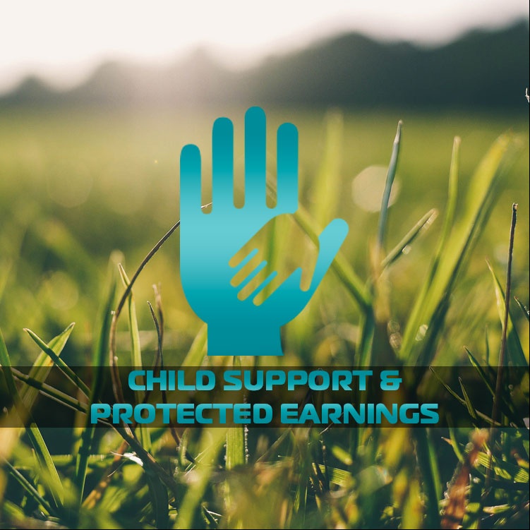Child Support & Protected Earnings for 2017