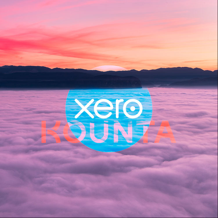 How to setup a proper reliable effective Kounta Xero Integration