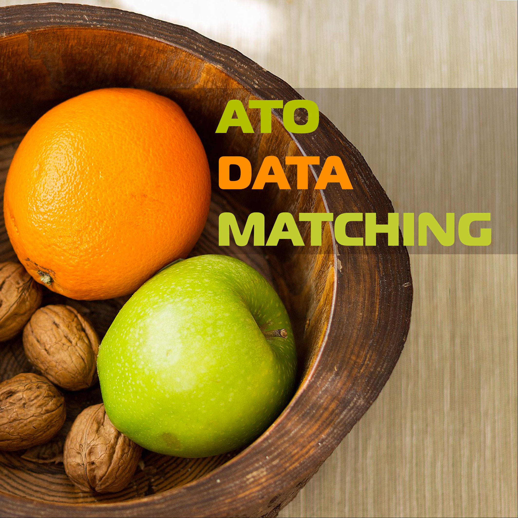 ATO Data Matching
