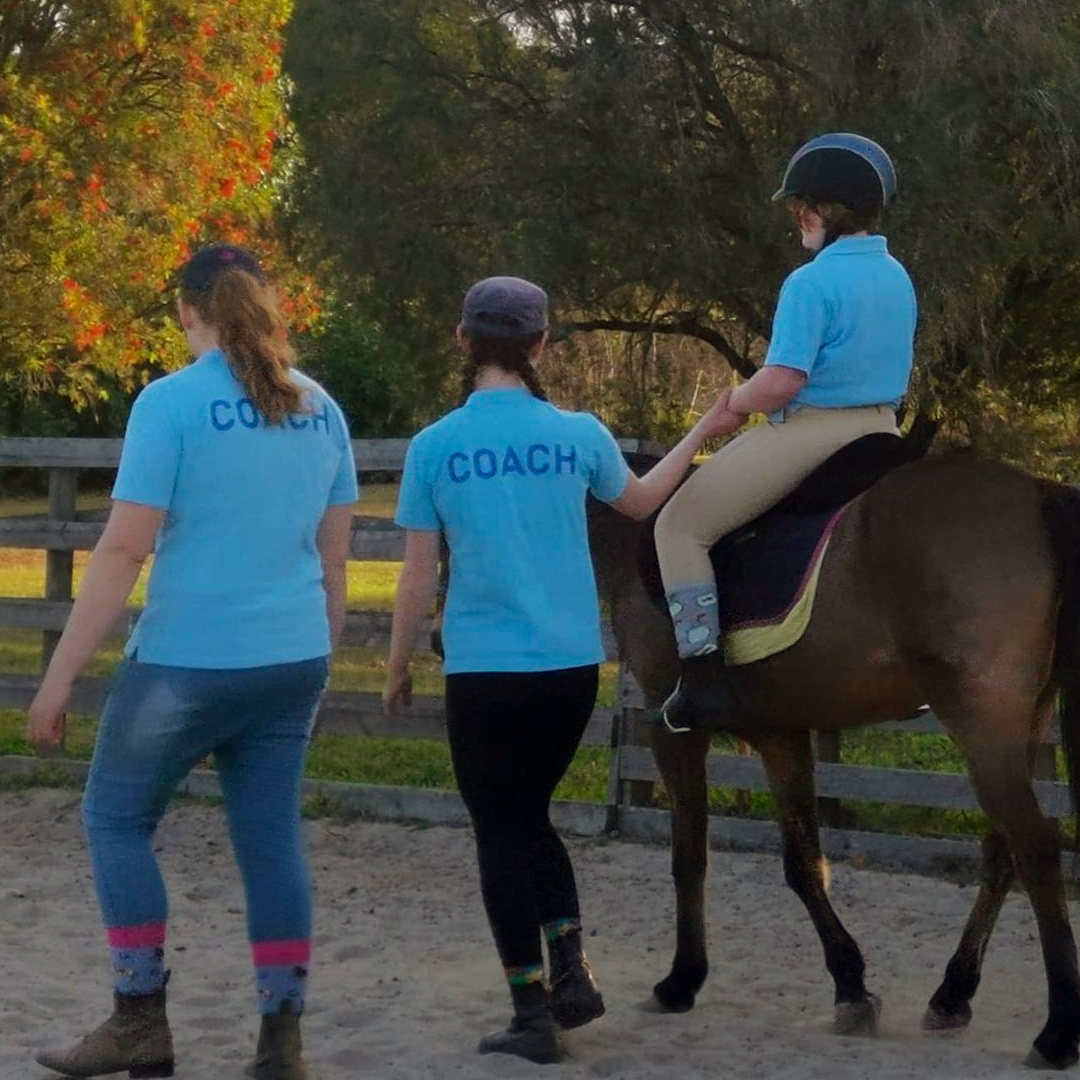 Equine Assisted Therapy for Autism Spectrum Disorder