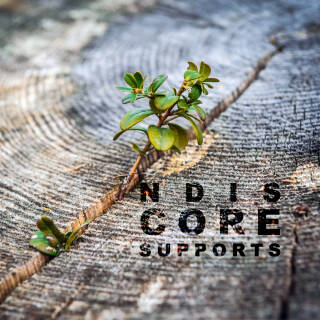 NDIS Core Line Items. Core Support Purpose