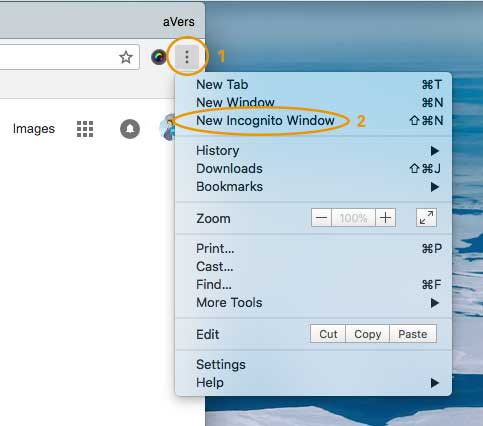 Incognito Window Chrome multiple companies organisations files in Xero