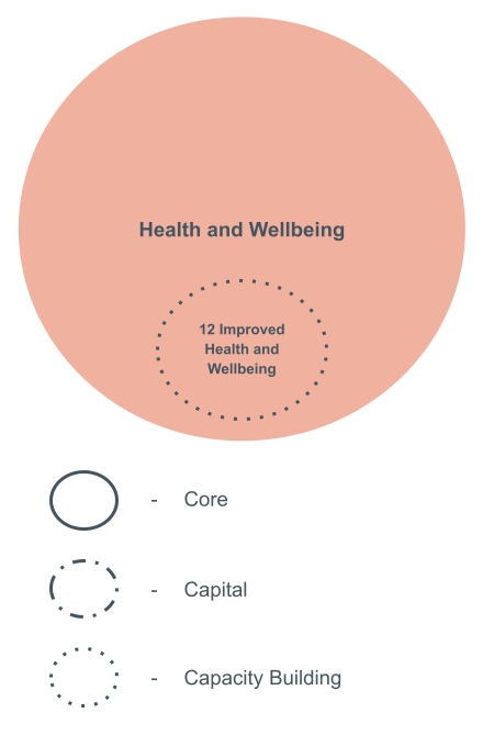 Health and Wellbeing NDIS Outcome Domain Diagram
