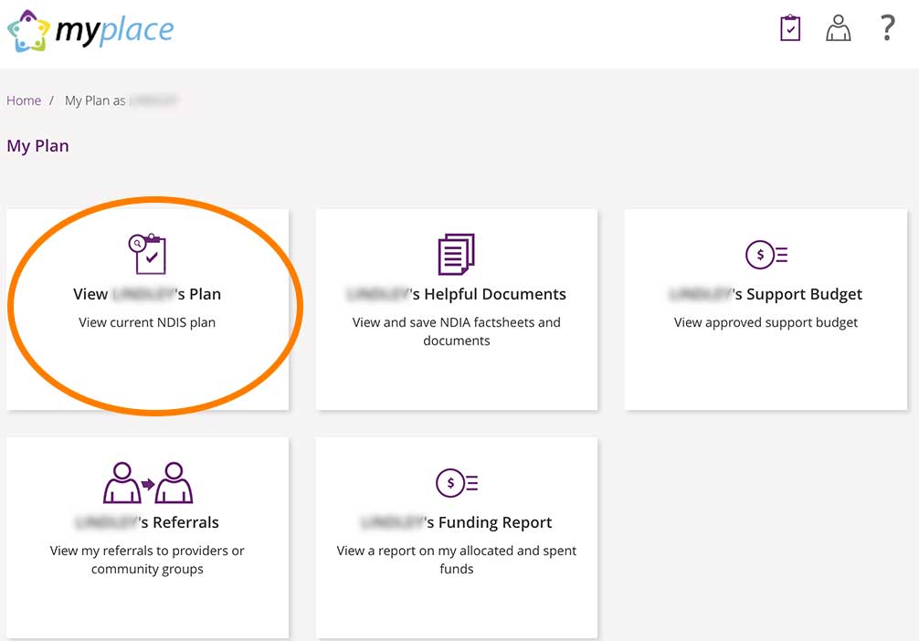 NDIS view my plan